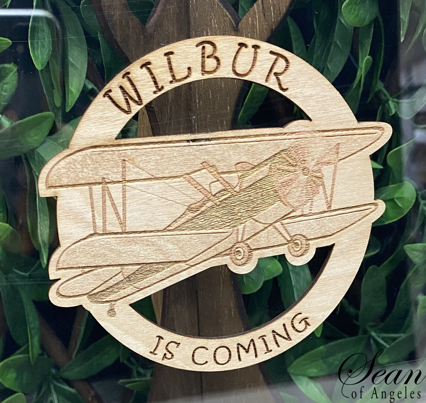 Biplane Guest Book Alternative