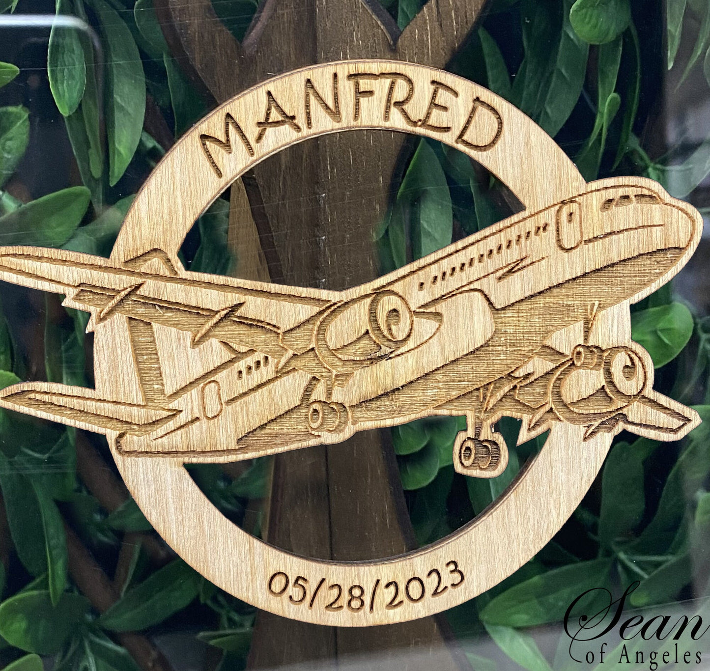 Jumbo Plane Guest Book Alternative