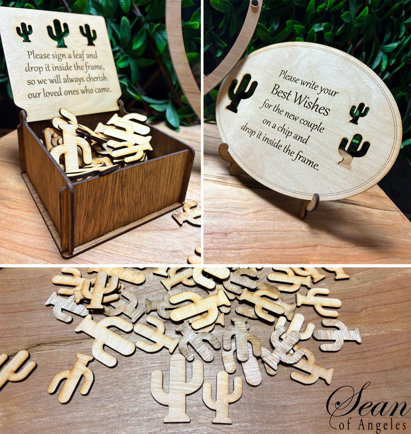 DESERT CACTUS VISTA Guest Book Alternative, Sand Dunes, Sahara