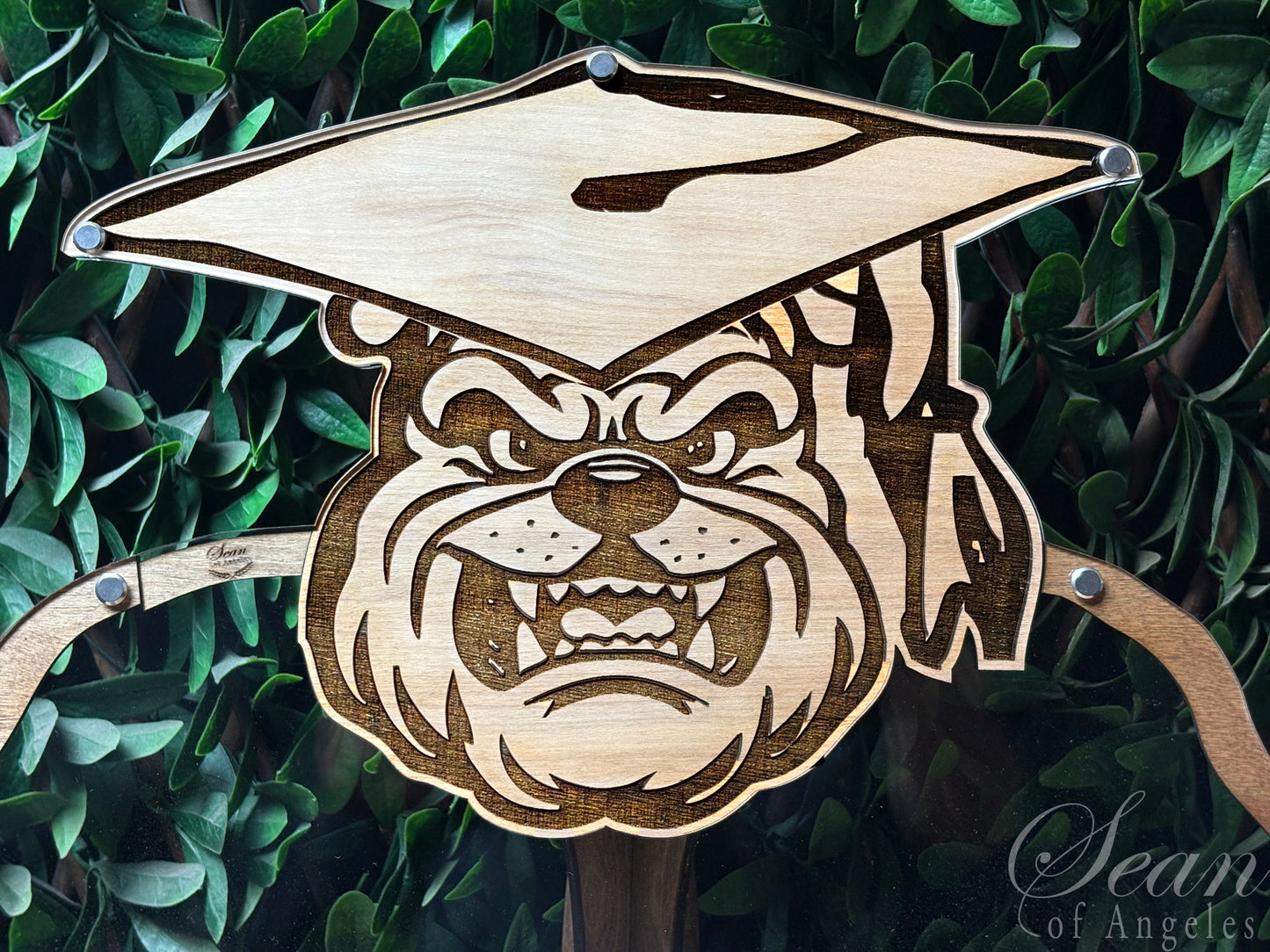 BULLDOG Graduations Guest Book Alternative