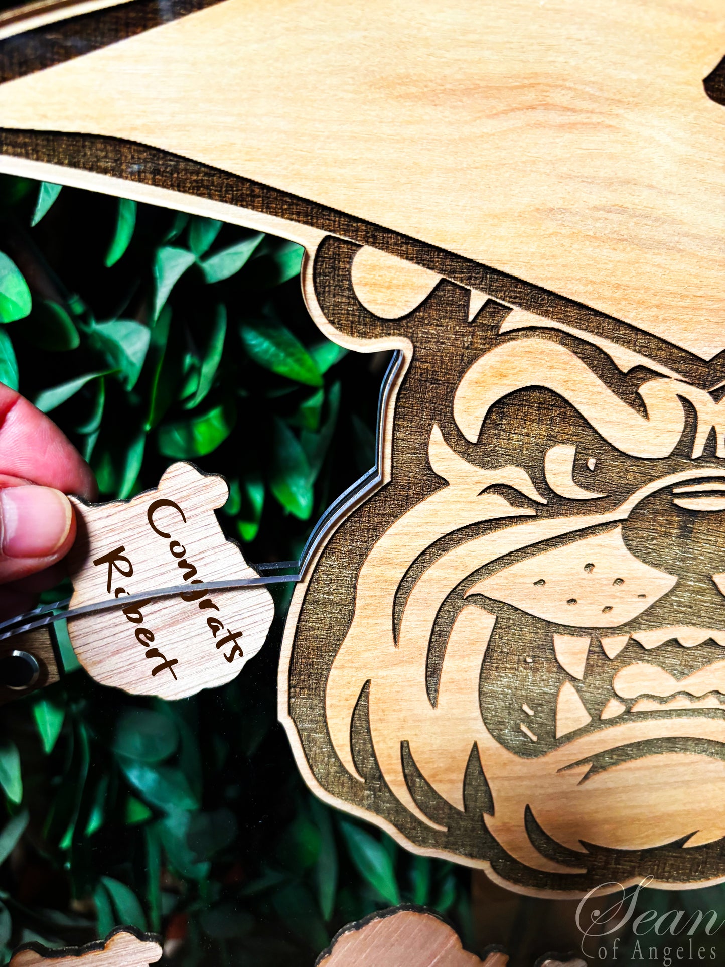 BULLDOG Graduations Guest Book Alternative